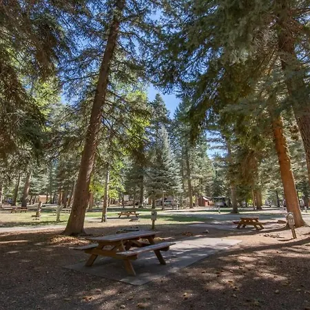 The Blue Spruce Cabin #16 At Blue Spruce Rv Park & Cabins
